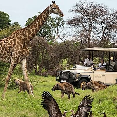 inverdoorn-safari-game-reserve