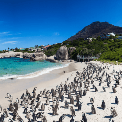 Orderbump-MAR-SouthAfrica-2